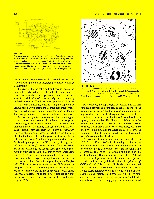 Bhagavan Medical Biochemistry 2001, page 231